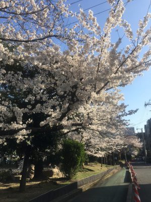 ブログ記事のイメージサンプル