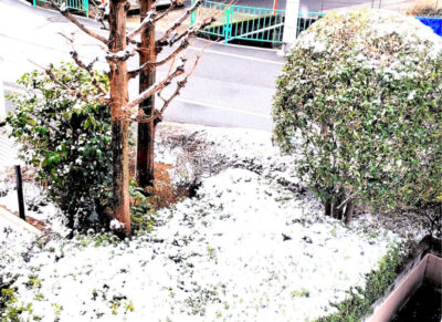 ブログイメージ画像